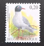 Belgique : COB 3380 ** Oiseaux 2005., Sans timbre, Neuf, Enlèvement ou Envoi, Non oblitéré
