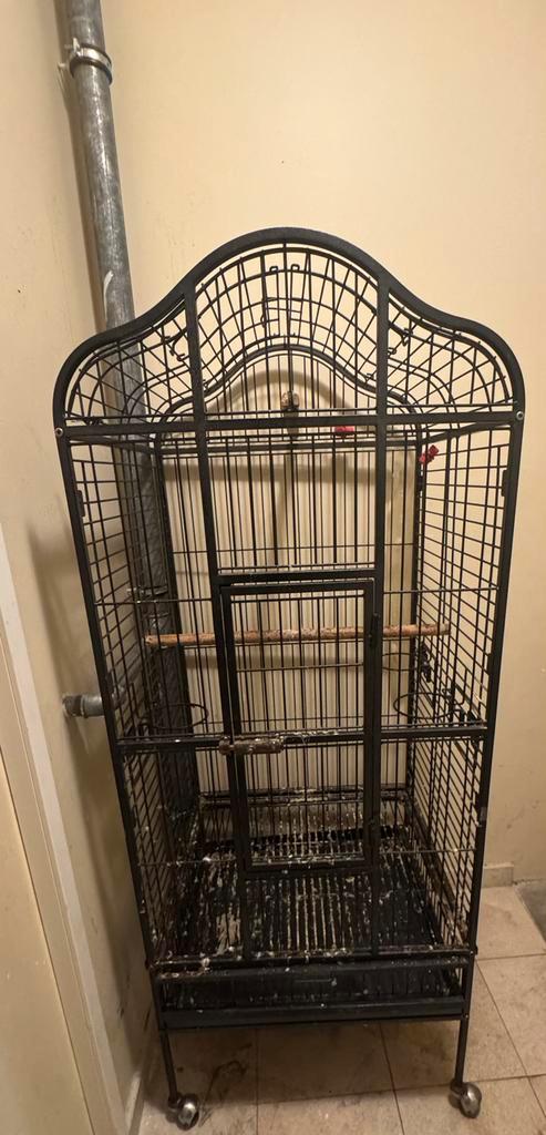 Grand cage perroquets , perruche ou autre oiseaux, Dieren en Toebehoren, Vogels | Hokken en Kooien, Zo goed als nieuw, Vogelkooi