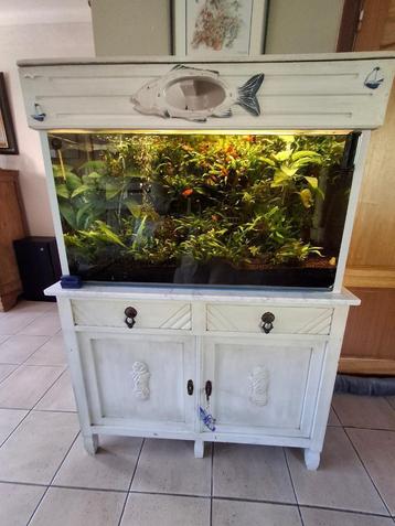 Aquarium met meubelstuk  beschikbaar voor biedingen