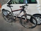 Mountainbike Koga X29-Sport 29 inch Disc, Gebruikt, Hardtail, 49 tot 53 cm, Ophalen