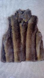 Gilet ferrure, Kleding | Dames, Bodywarmers, Ophalen, Zo goed als nieuw