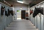 Dressuurstal Visseneynd