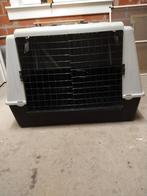 À vendre, Animaux & Accessoires, Enlèvement