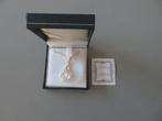 Swarovski Crystal in Box Ketting + hanger, Verzamelen, Swarovski, Ophalen of Verzenden, Zo goed als nieuw, Sieraad of Horloge