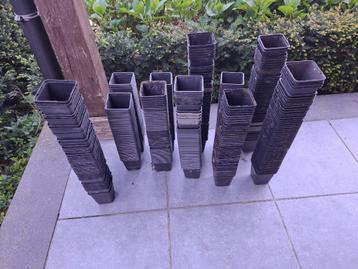 P9 potjes, 530 stuks beschikbaar voor biedingen