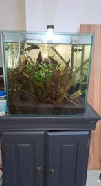 aquarium complet, Dieren en Toebehoren, Ophalen of Verzenden