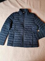 Windjacket (L), Kleding | Dames, Ophalen of Verzenden