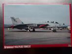 Grumman F-14A plus Tomcat, 1/48, Hasegawa, Hobby en Vrije tijd, Ophalen of Verzenden, Zo goed als nieuw, Hasegawa