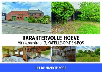 Ramsdonk: Karaktervolle hoeve met bijgebouwen op 31a 39ca beschikbaar voor biedingen