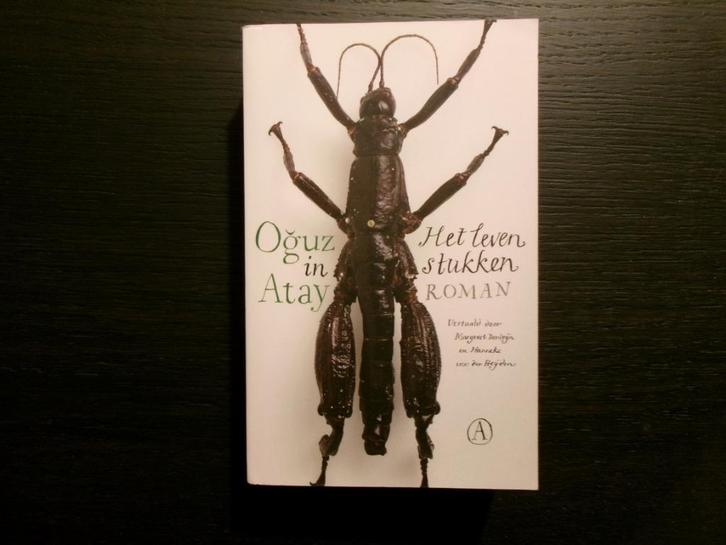 Het leven in stukken  -Oguz  Atay-, Boeken, Literatuur, Ophalen of Verzenden
