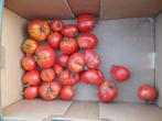 Tomates du jardin, Ophalen