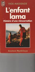 L'enfant lama Histoire d'une réincarnation Vicki Mackenzie, Livres, Ésotérisme & Spiritualité, Comme neuf, Arrière-plan et information