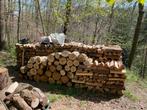 BOIS de chauffage bien sec 90euros/stere, Tuin en Terras, Brandhout, 6 m³ of meer, Ophalen, Overige houtsoorten, Blokken