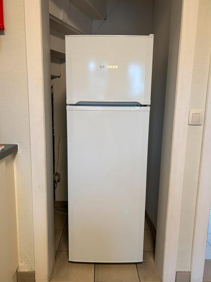 Liebherr koelkast+diepvries, Electroménager, Réfrigérateurs & Frigos, Utilisé, Avec compartiment congélateur, 200 litres ou plus