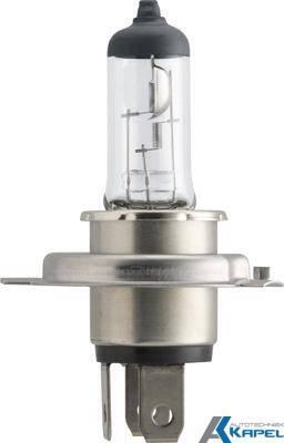 H4 Halogeenlamp 12V en 24 volt - 24v, Auto-onderdelen, Verlichting, Nieuw