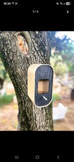 Unieke vogelhuisjes,voederhuisjes, Ophalen