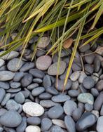 Pebble beach stones- 50kg, Jardin & Terrasse, Gravier, Rochers & Caillasse, Enlèvement