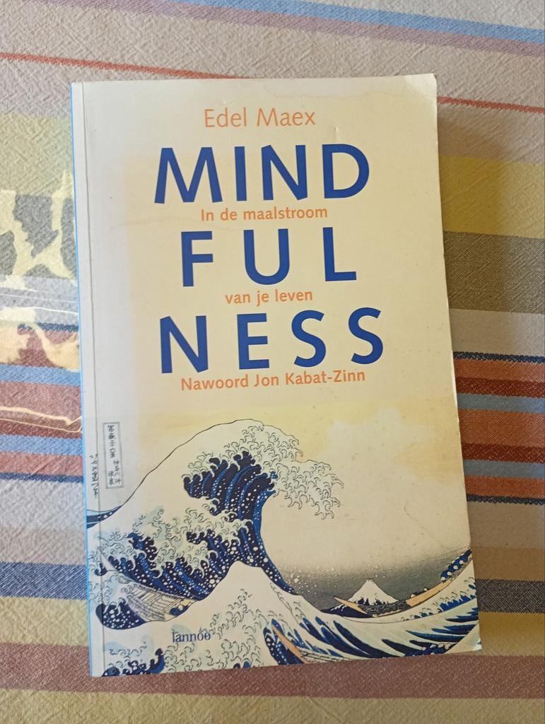 Boek mindfulness, Livres, Ésotérisme & Spiritualité, Edel Maex, Enlèvement, Utilisé, Autres types