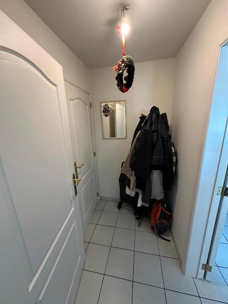 Studio te huur in Hoeselt, Immo, Appartementen en Studio's te huur, Provincie Limburg, 20 tot 35 m²