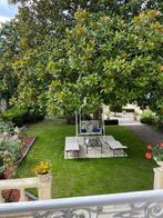 Bourgeois huis vlakbij het circuit van 24 Hours of Mans, Immo, France, Frankrijk, Woonhuis, 210 m²