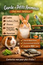 Garde de petits animaux chez moi., Animaux & Accessoires, Rongeurs & Lapins | Accessoires, Soins