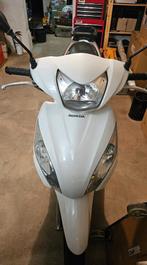 Honda Vision 50 ccm, Bedrijf