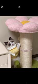 Schattige bloemen krabpaal – roze kattenboom 60cm, Ophalen of Verzenden, Zo goed als nieuw, Krabpaal