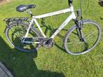 Herenfiets Norta, Gebruikt, Versnellingen, 53 tot 57 cm, Ophalen