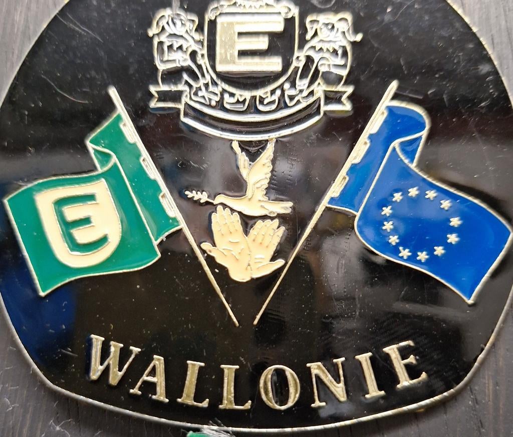 Fen  wallonie, Collections, Broches, Pins & Badges, Enlèvement ou Envoi