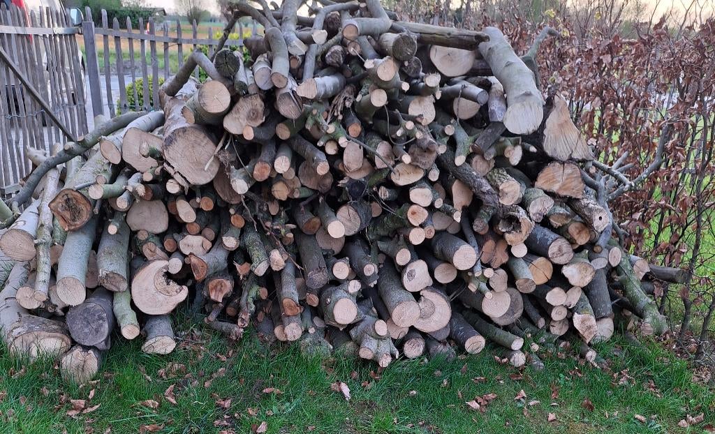 brandhout es op stam 80€/kuub, Enlèvement