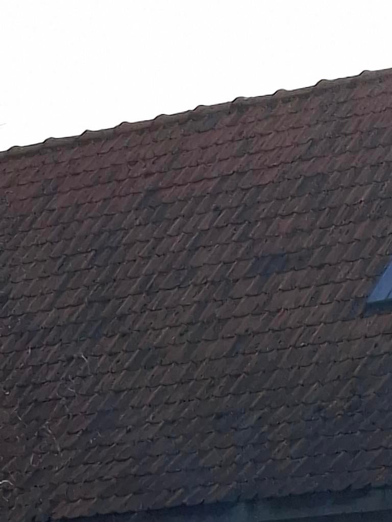 Dakpannen, Doe-het-zelf en Bouw, Ophalen, Dakpannen