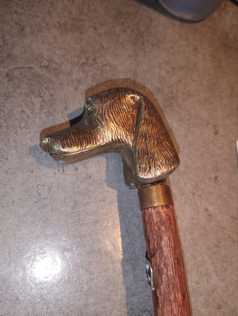 Canne chien ( sureaux), Divers, Bâtons de marche, Enlèvement ou Envoi