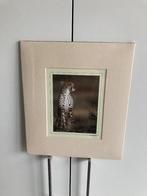 Ingelijste kunstdruk jachtluipaard, Ophalen of Verzenden, Nieuw