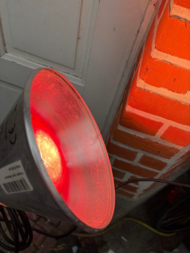 Warmtelamp, Animaux & Accessoires, Volatiles | Accessoires, Enlèvement, Utilisé, Couveuse