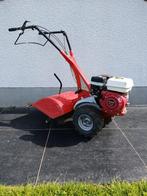 Te huur Lazer tuinfrees 5,5 pk 50cm breedte, Ophalen, Gebruikt