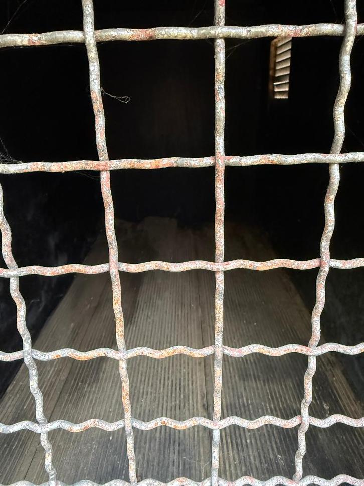 Remorque pour chien, Autos : Divers, Remorques, Utilisé, Enlèvement