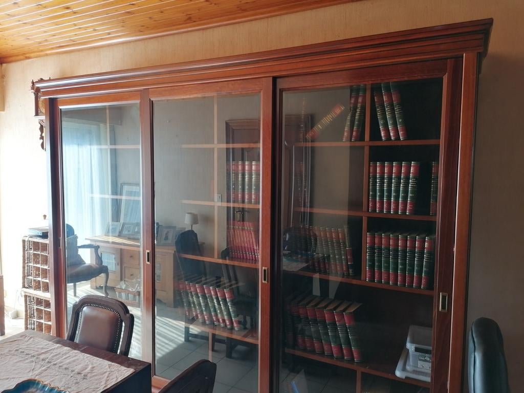 Vitrinekast Aurora, Antiek en Kunst, Ophalen