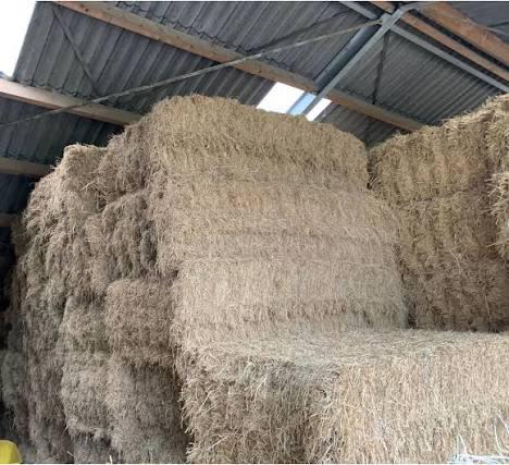 hooi extra groote balen, Bricolage & Construction, Bois & Planches, Comme neuf, Enlèvement
