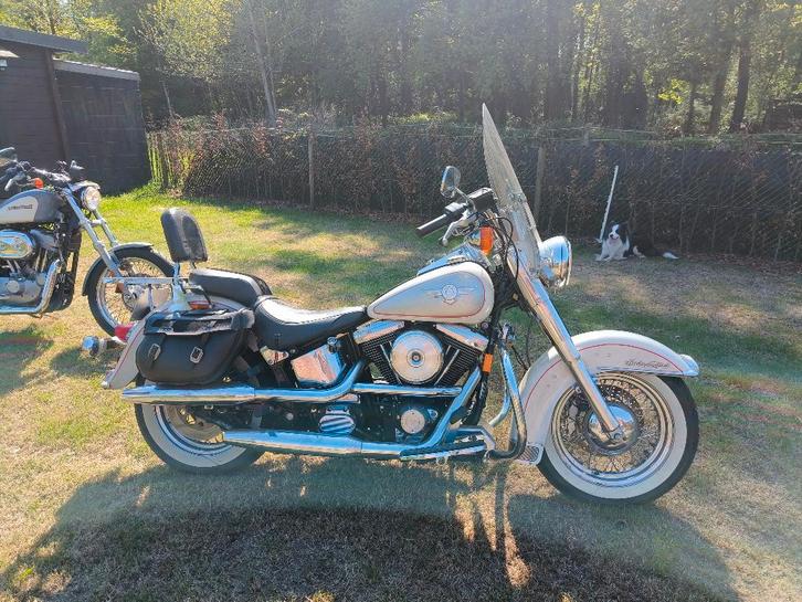 Harley Davidson Softail Heritage Oldtimer Moo - Cow Glide, Motoren, Motoren | Oldtimers, Toermotor, 12 t/m 35 kW, 2 cilinders