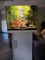 Aquarium lido 120l juwel, Juwel