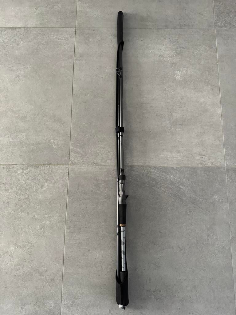 WXM 500 220H gietstaaf, Watersport en Boten, Hengelsport | Roofvissen, Ophalen, Zo goed als nieuw, Werphengel