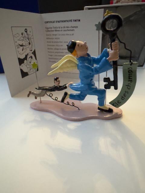 PIXI Kuifje en de sleutel tot de velden N46245, Verzamelen, Overige Verzamelen, Zo goed als nieuw, Verzenden