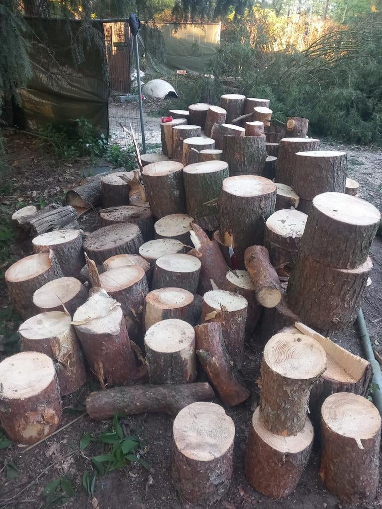 Brandhout, 6 m³ ou plus, Enlèvement ou Envoi, Autres essences de bois, Bûches