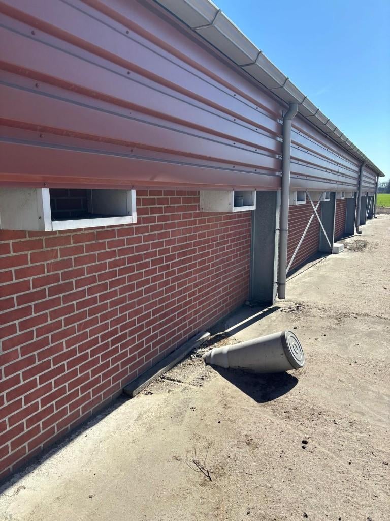 Complete prefab stal [246], Dieren en Toebehoren