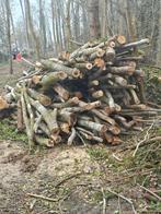 beaucoup de bois de chauffage - à nettoyer vous-même, Enlèvement, Bûches