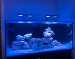 Zeeaquarium / zoutwateraquarium compleet, Dieren en Toebehoren, Ophalen, Zo goed als nieuw