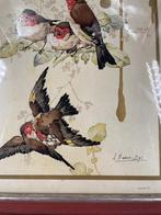 Gravure Fine d'Oiseaux - Élégance Artistique, Antiquités & Art, Art | Eaux-fortes & Gravures, Enlèvement ou Envoi
