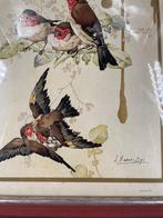 Gravure Fine d'Oiseaux - Élégance Artistique, Antiquités & Art, Enlèvement ou Envoi