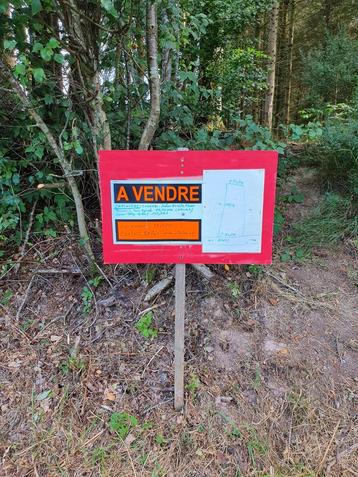 Deux terrains agricoles à vendre à 567O Viroinval  disponible aux enchères