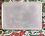 grand tupperware rectangulaire vintage 33x22x7 cm, Ophalen of Verzenden, Gebruikt, Wit, Bus of Trommel